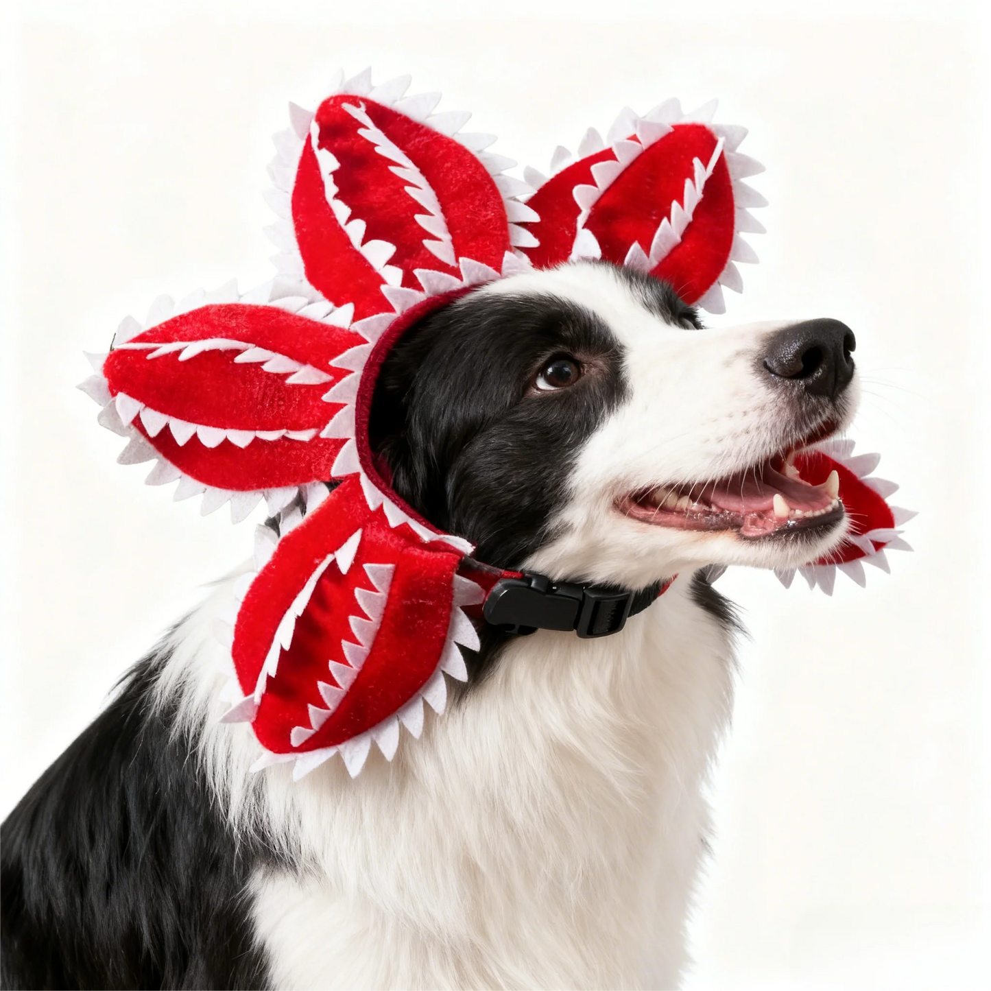 Pet Cosplay Costume Hat