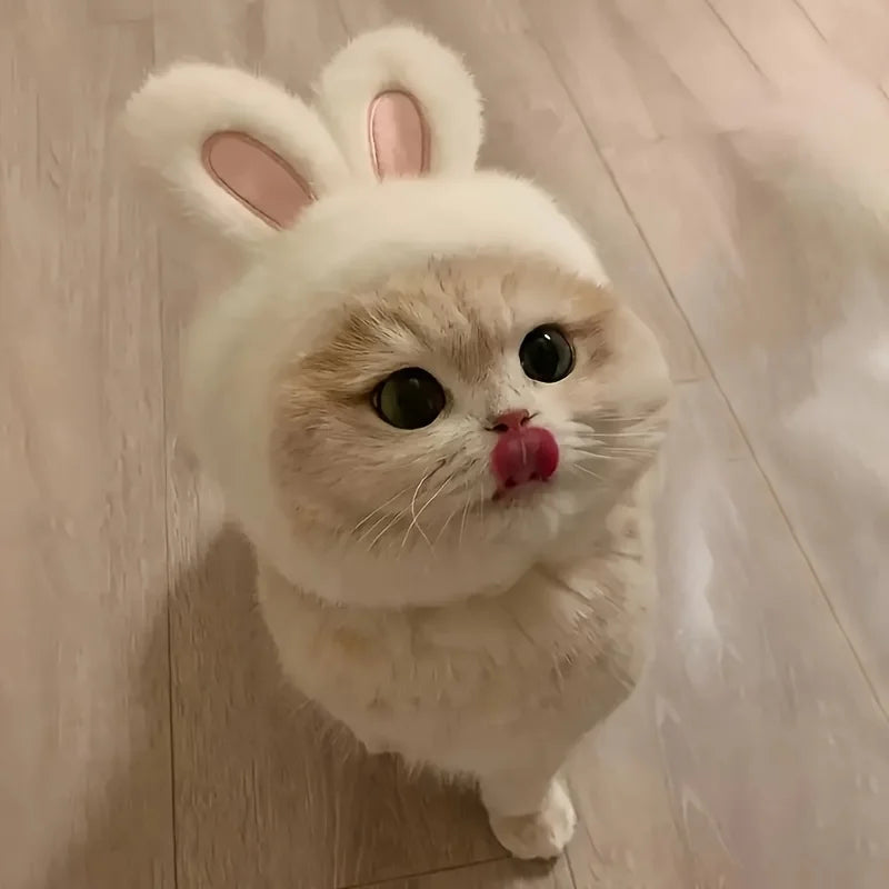 Adorable Bunny Ear Pet Accessory