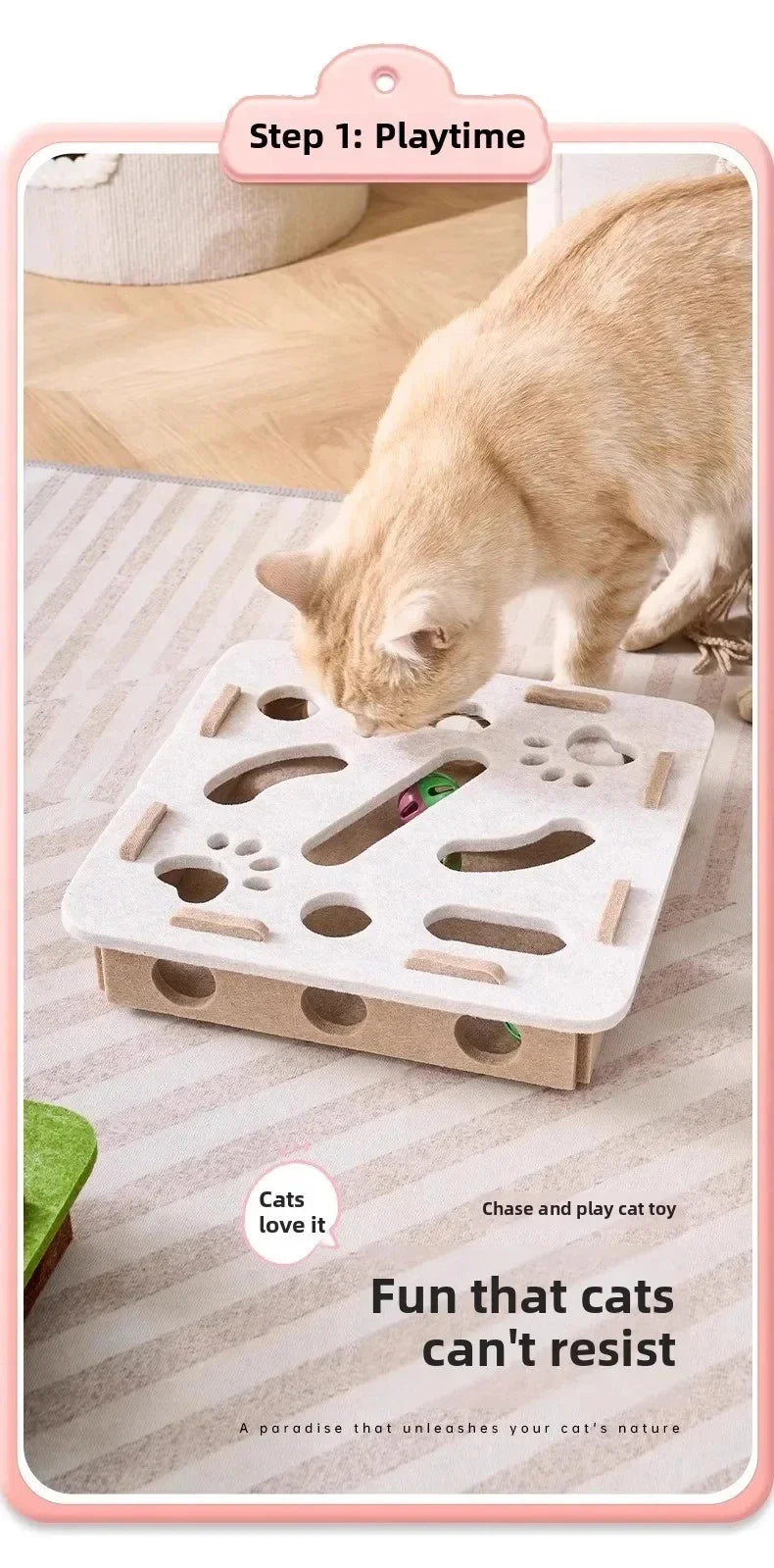 Indoor Cat Enrichment & Hunting Toy