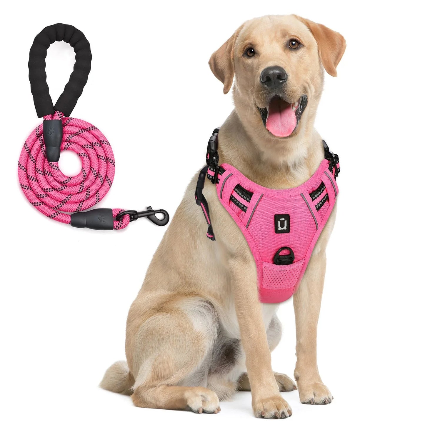 Soft Padded No-Pull Dog Vest Harness