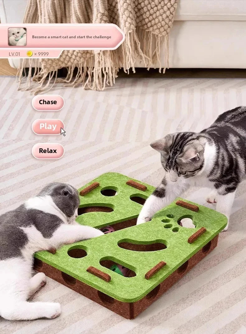 Indoor Cat Enrichment & Hunting Toy