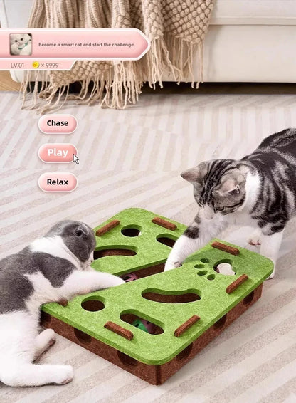 Indoor Cat Enrichment & Hunting Toy