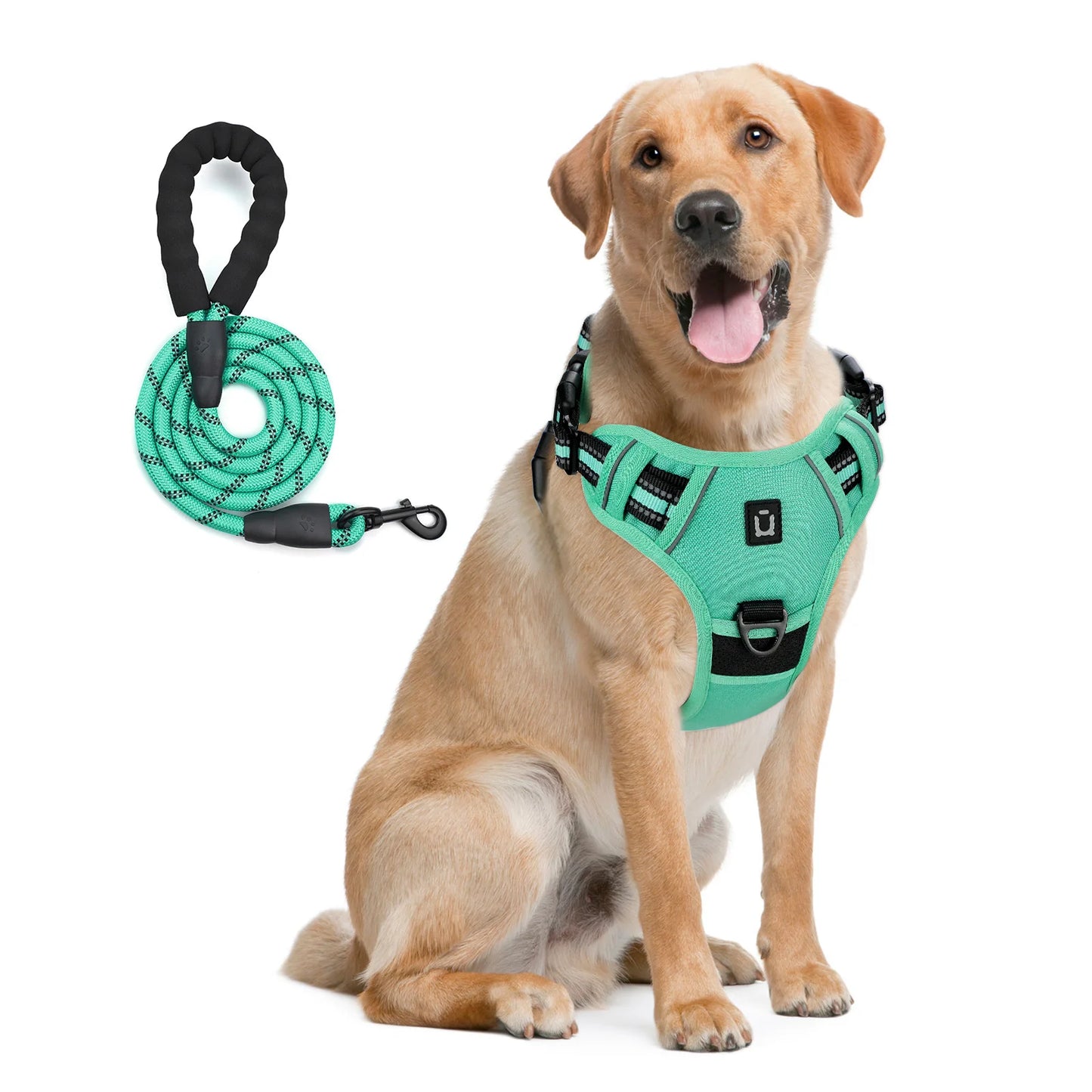 Soft Padded No-Pull Dog Vest Harness