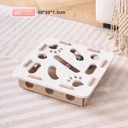 Indoor Cat Enrichment & Hunting Toy