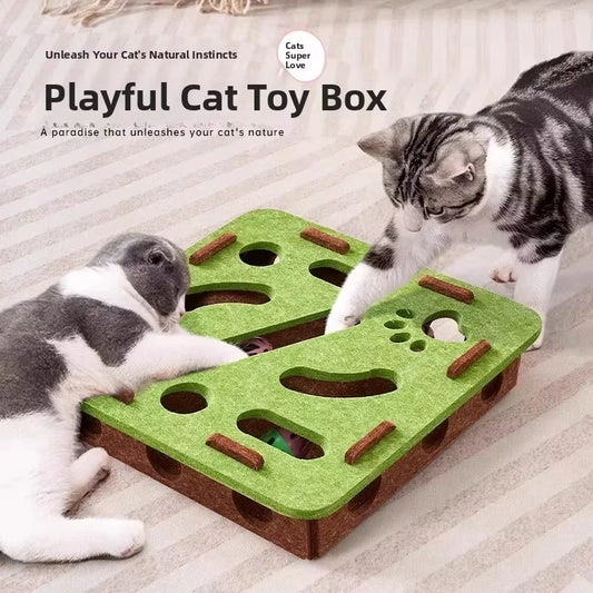 Indoor Cat Enrichment & Hunting Toy