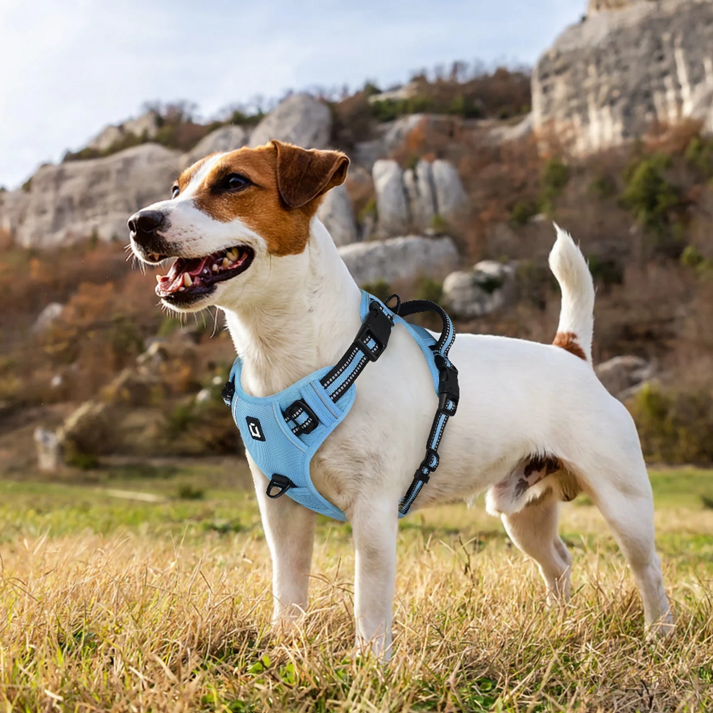 Soft Padded No-Pull Dog Vest Harness
