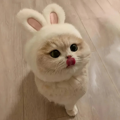 Adorable Bunny Ear Pet Accessory