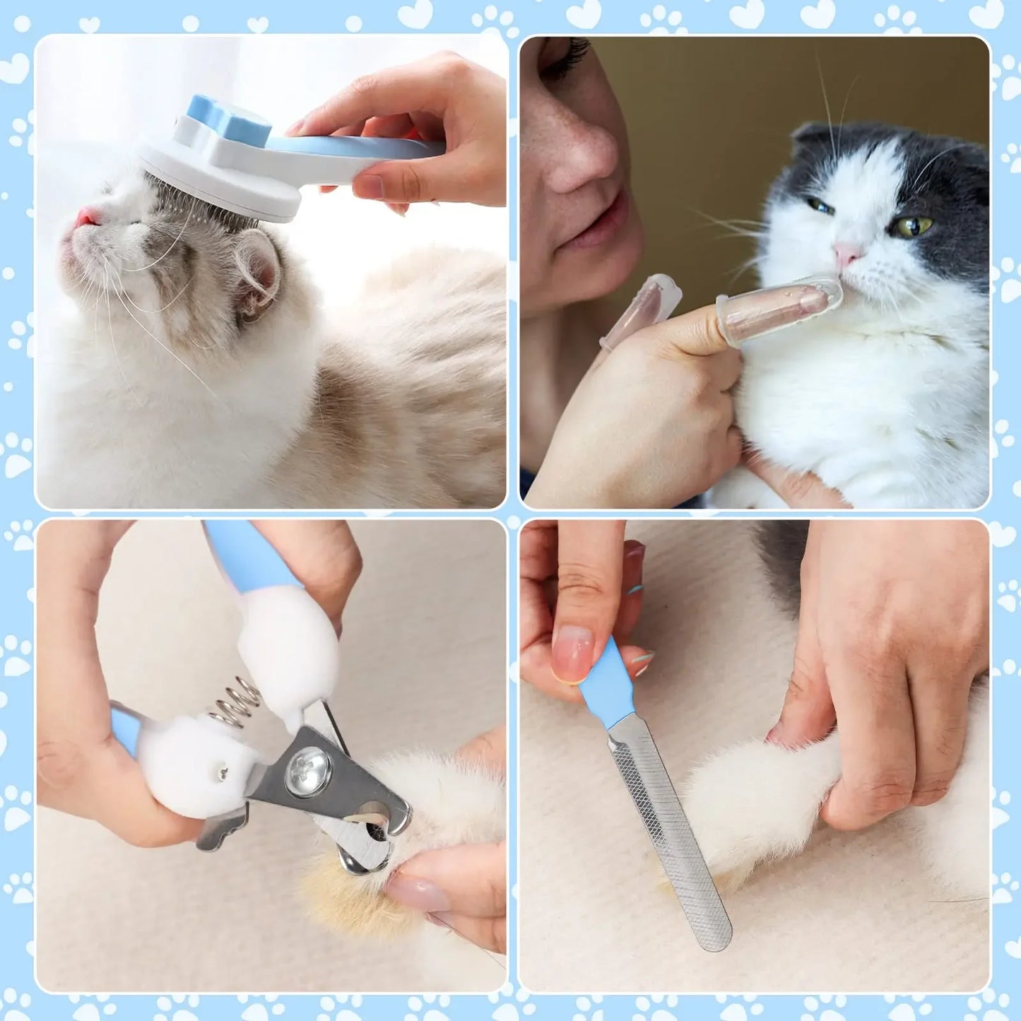 Pet Bath & Grooming Care Kit