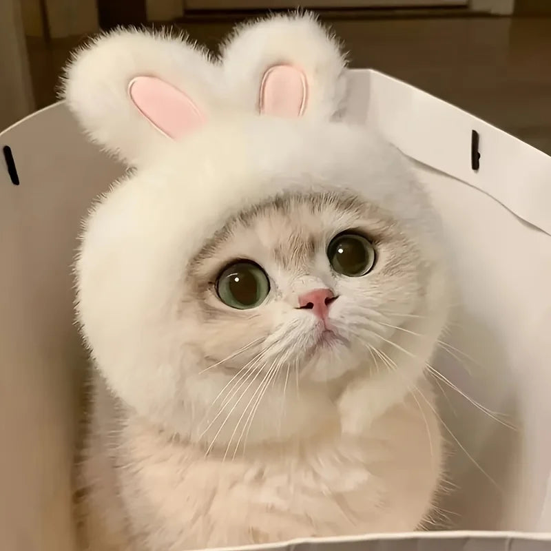 Adorable Bunny Ear Pet Accessory