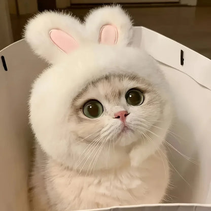 Adorable Bunny Ear Pet Accessory