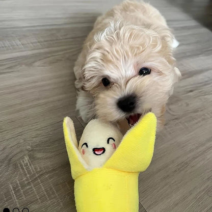 7-in-1 Plush Fruit & Veg Dog Toy Set